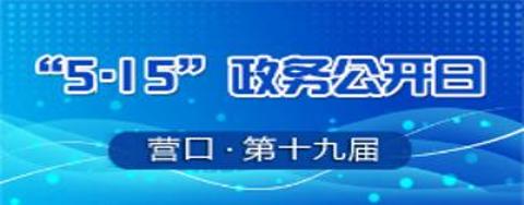 515政务公开日