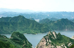 玉石林场